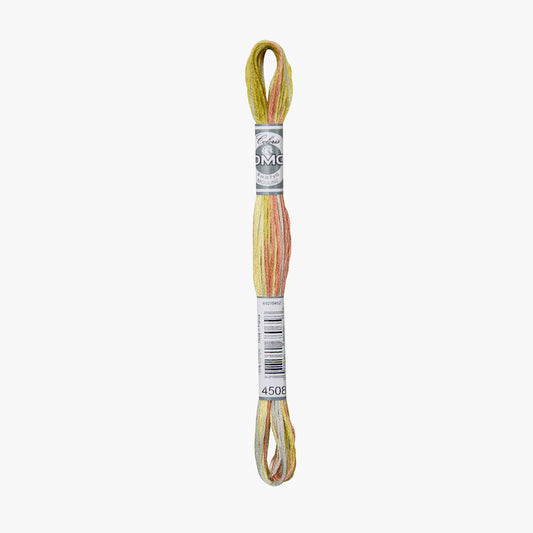 DMC Mouline Coloris 4508