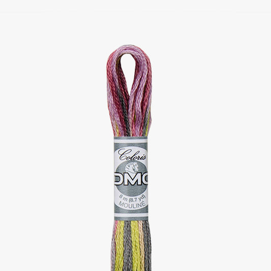 DMC Mouline Coloris 4509