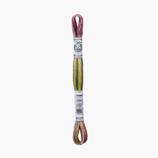 DMC Mouline Coloris 4509