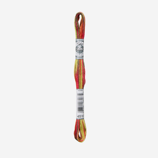 DMC Mouline Coloris 4510
