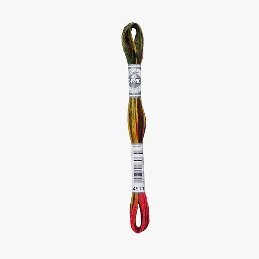 DMC Mouline Coloris 4511