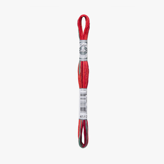 DMC Mouline Coloris 4517