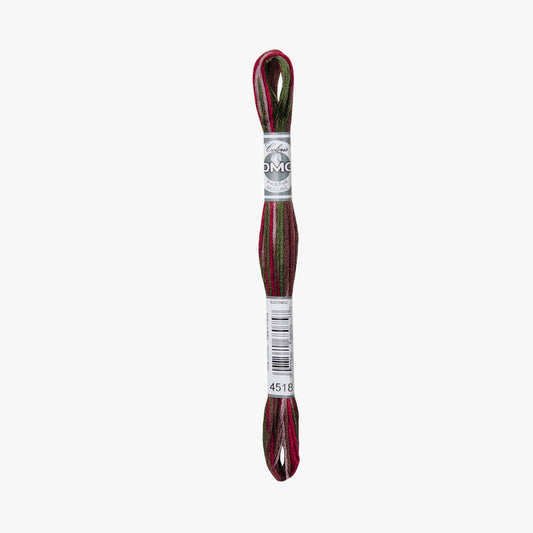 DMC Mouline Coloris 4518
