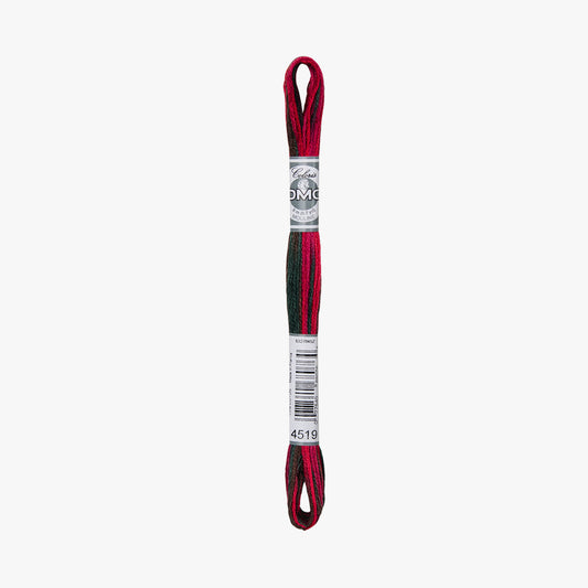 DMC Mouline Coloris 4519