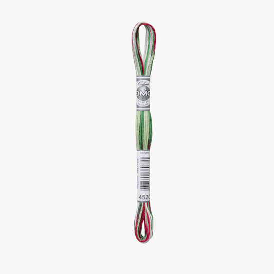 DMC Mouline Coloris 4520