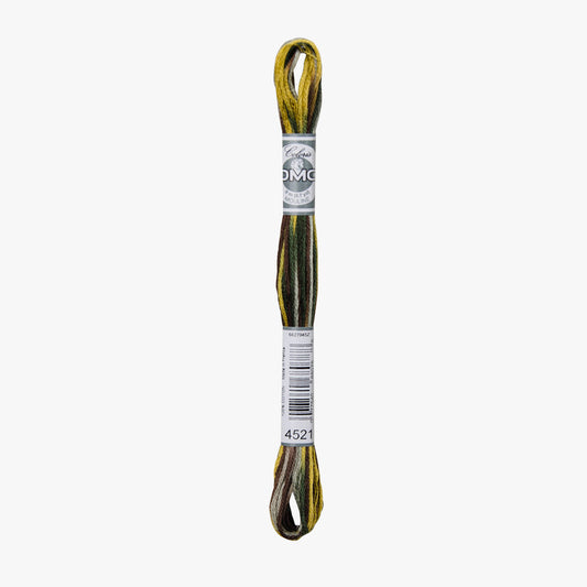 DMC Mouline Coloris 4521