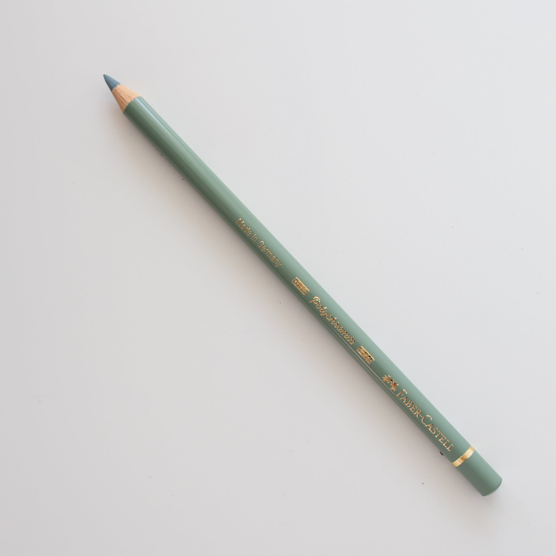 Polychromos colour pencil, 172 earth green