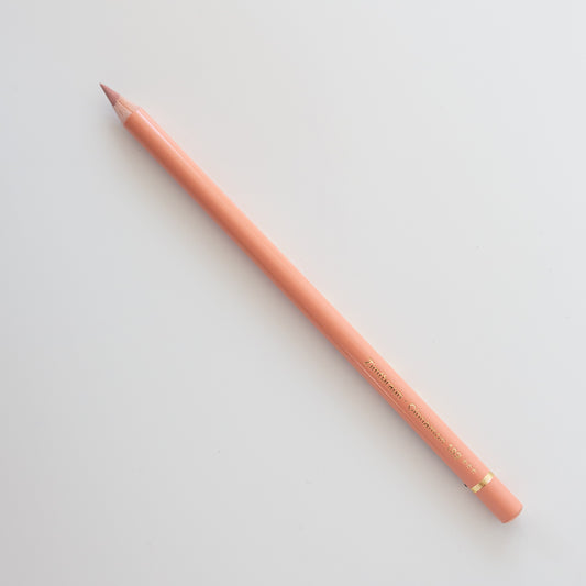 Faber Castell Polychromos 189 Cinnamon