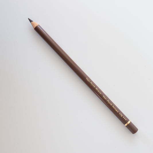 Faber Castell Polychromos 176 van Dycke Brown