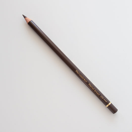 Faber Castell Polychromos 177 Walnut Brown