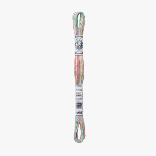 DMC Mouline Coloris 4501