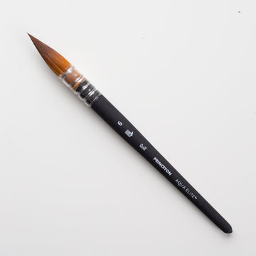 Princeton Aqua Elite Quill size 6