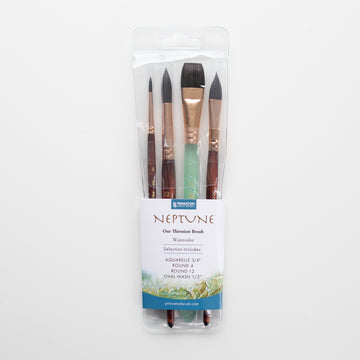 Princeton Neptune Professional 4 pc set