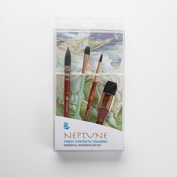 Princeton Neptune Professional 4 pc box set