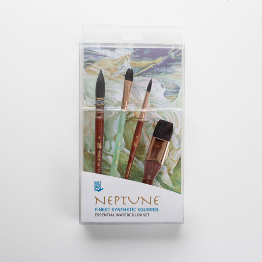 Princeton Neptune Professional 4 pc box set