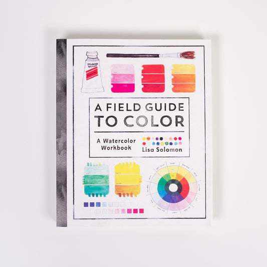 „A Field Guide to Color“ von Lisa Solomon