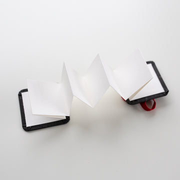 Hahnemühle