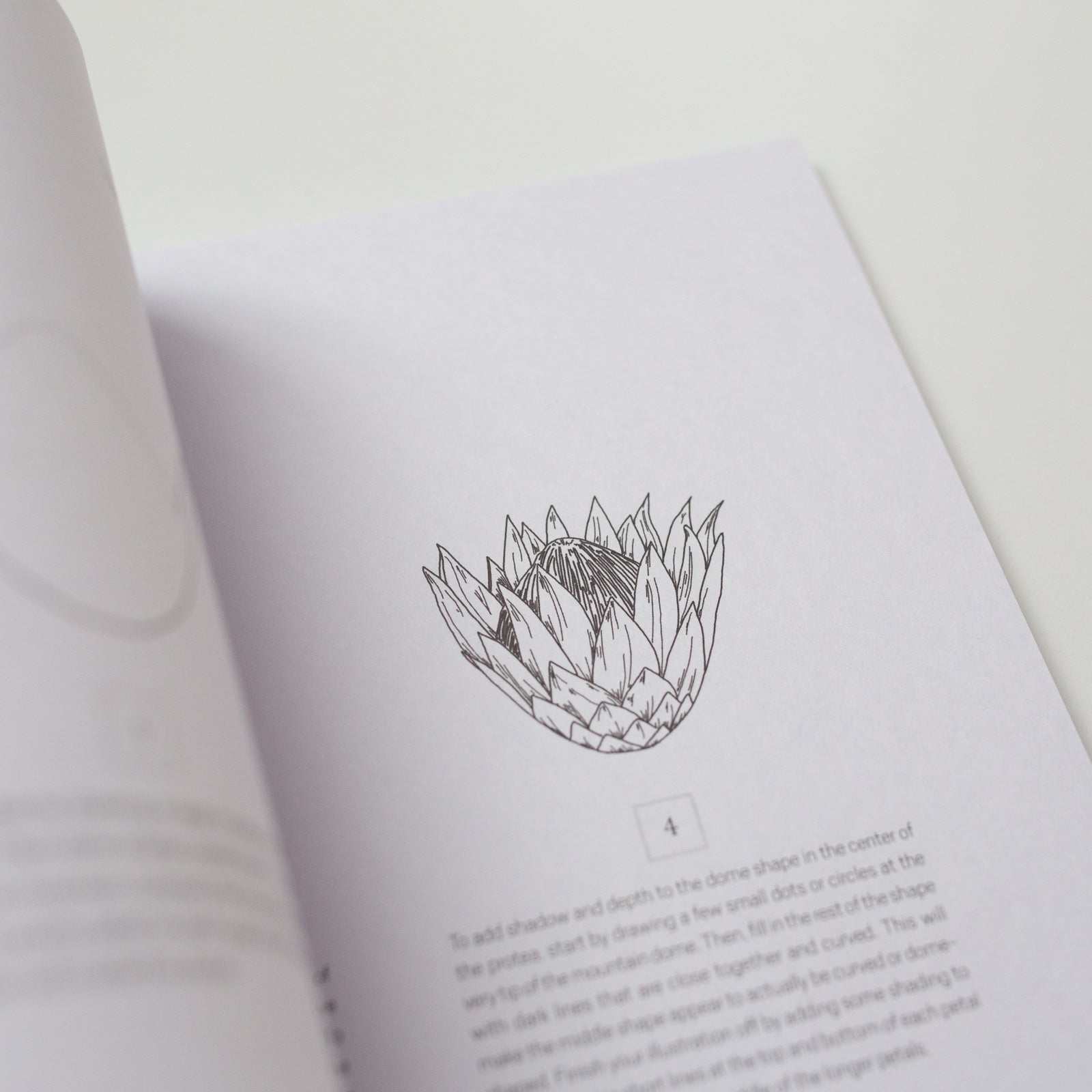 How to draw modern flowers by Alli Koch