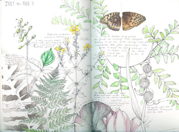 INTERVIEW // Botanical artist Lara Call Gastinger