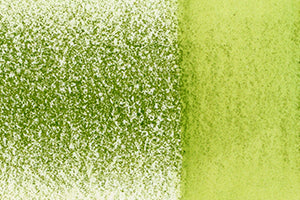 Derwent Chromaqua Pencil 1700 Foliage