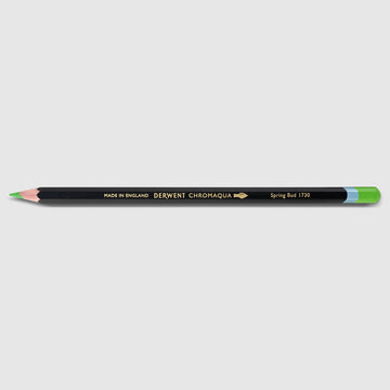 Derwent Chromaqua Pencil 1730 Spring Bud