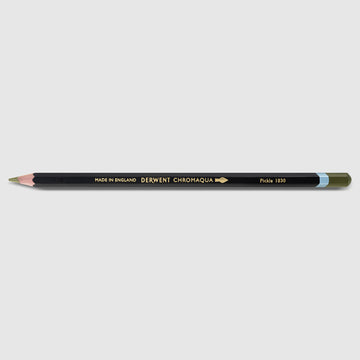 Derwent Chromaqua Pencil 1830 Pickle