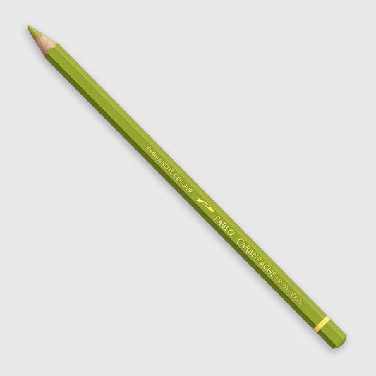 Caran d'Ache Pablo 016 Khaki Green