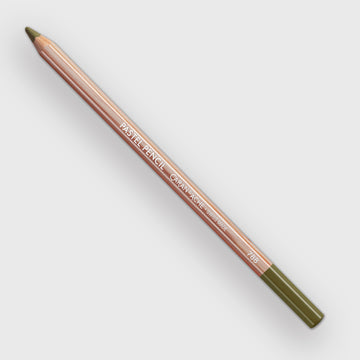 Caran d'Ache Pastel 039 Olive Brown