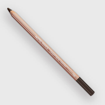 Caran d'Ache Pastel 748 Warm earth 70%