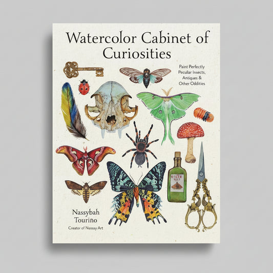 Watercolor Cabinet of Curiosities by Nassybah Tourino