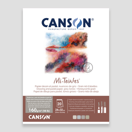 Canson Mi-Teintes Grey Tones 24x32cm 20 vel