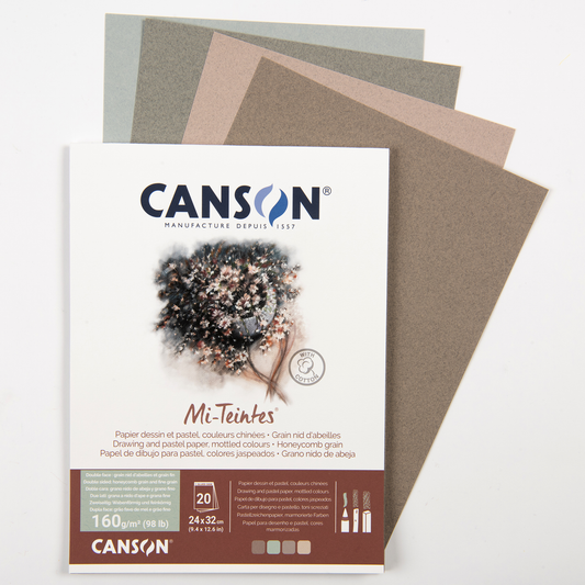 Canson Mi-Teintes Mottled tones 24x32cm 20 vel