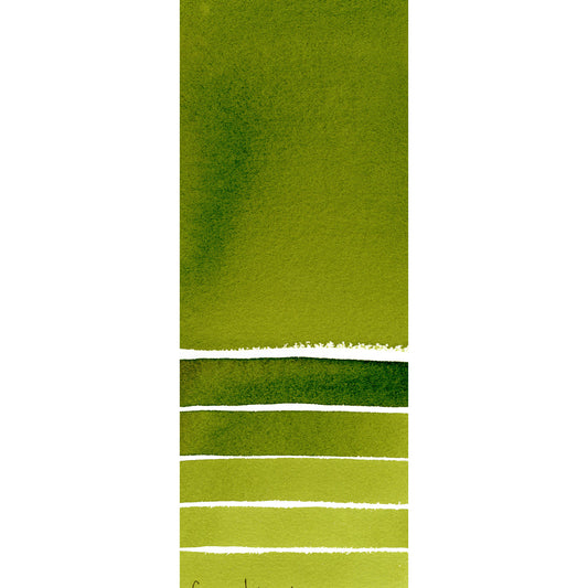 Daniel Smith Watercolor 15ml Extra Fine Sap Green 2