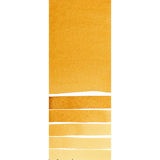 Daniel Smith Watercolor 15ml Extra Fine Yellow Ochre 1