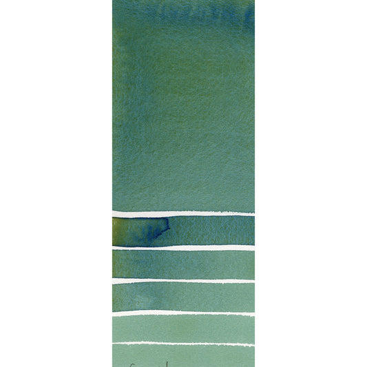 Daniel Smith Extra Fine Watercolors 5ml Cascade Green 1