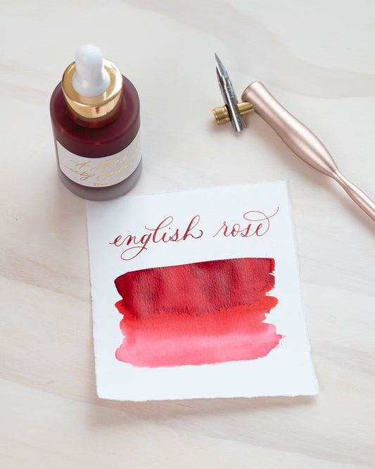 Tom's Studio Calligraphy Ink English Rose