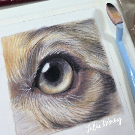 Workshop 2025 Zaterdag 1 november 14.30u-16.00u - PanPastel en Derwent pastelpotloden - Hondenoog by Julia Woning