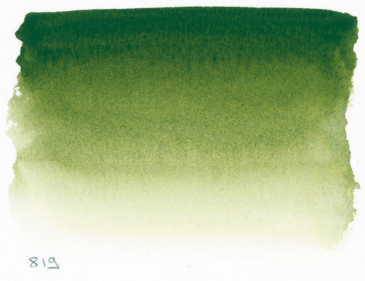 Sennelier l'Aquarelle 819 Sap Green half pan S1