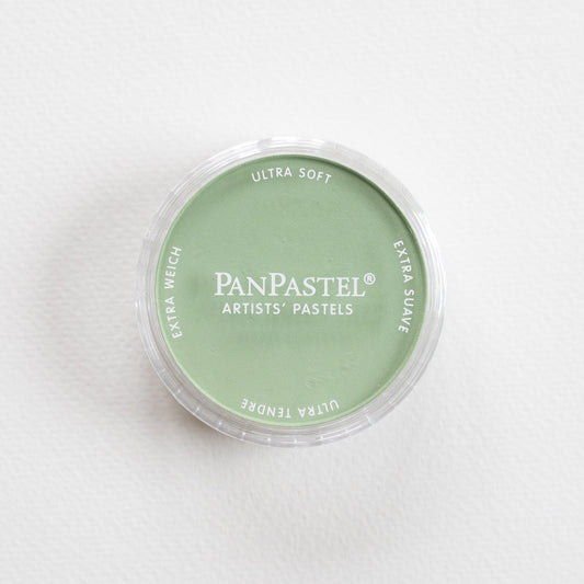 PanPastel Chromium Oxide Green Light