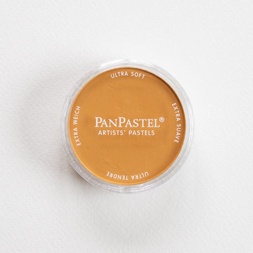 PanPastel Raw Sienna