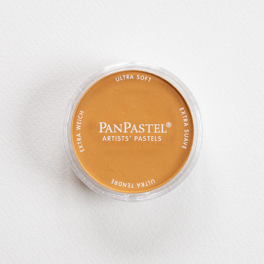 PanPastel Raw Sienna