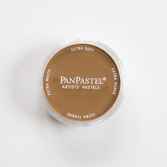 PanPastel Raw Sienna Extra Dark