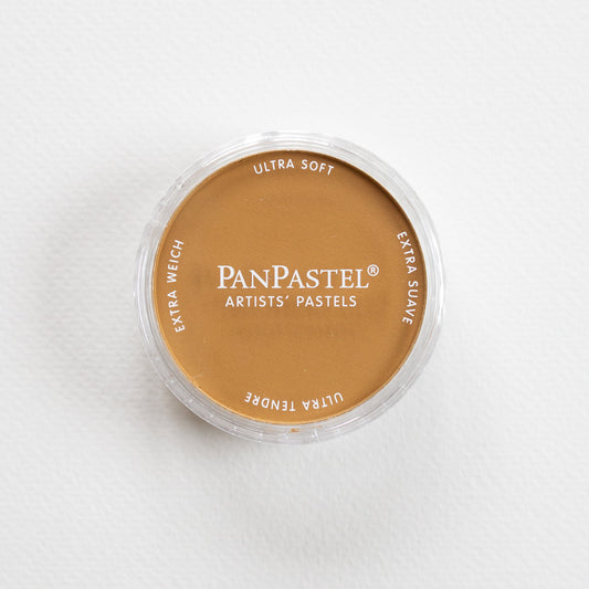 PanPastel Raw Sienna Shade
