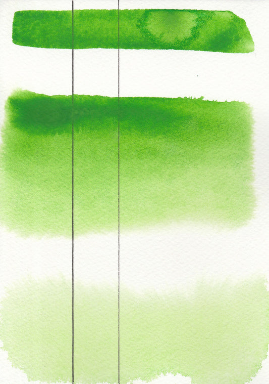 Roman Szmal Aquarius Watercolour Full pan Permanent Green Light 2 nr. 231