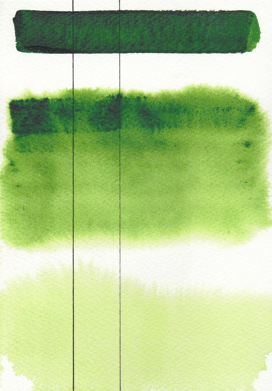 Roman Szmal Aquarius Watercolour Full pan Sap Green 2 nr. 233