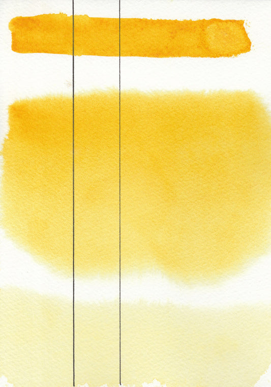 Roman Szmal Aquarius Watercolour Full pan Indian Yellow (Hue) 3 nr. 307