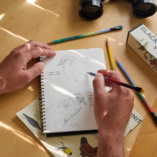 Blackwing Volume 458 The Birding Pencils