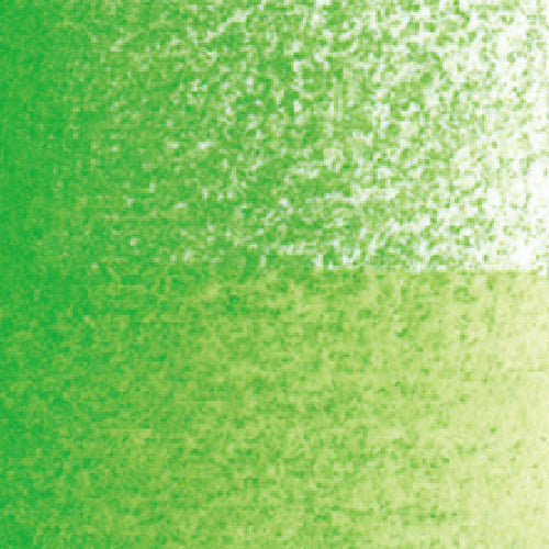 Holbein Artist' Watercolor Pencil Permanent Green No. 1