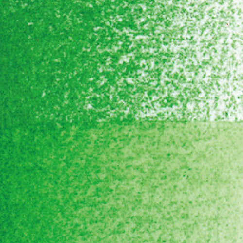 Holbein Artist' Watercolor Pencil Permanent Green No. 2