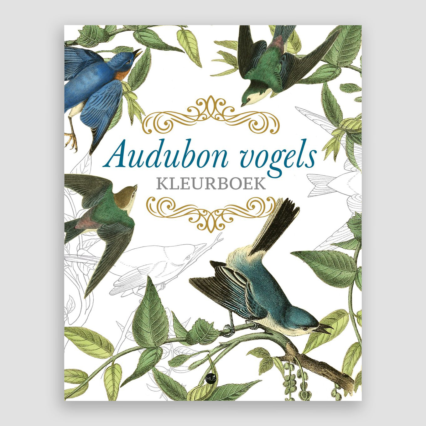 Audubon Splendith